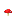 Hongo rojo Hongo rojo